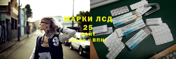 стаф Алексин
