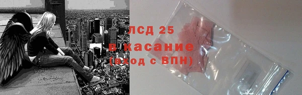 стаф Алексин
