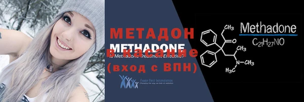 стаф Алексин