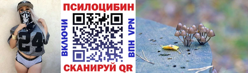 Галлюциногенные грибы мицелий shop какой сайт Абаза